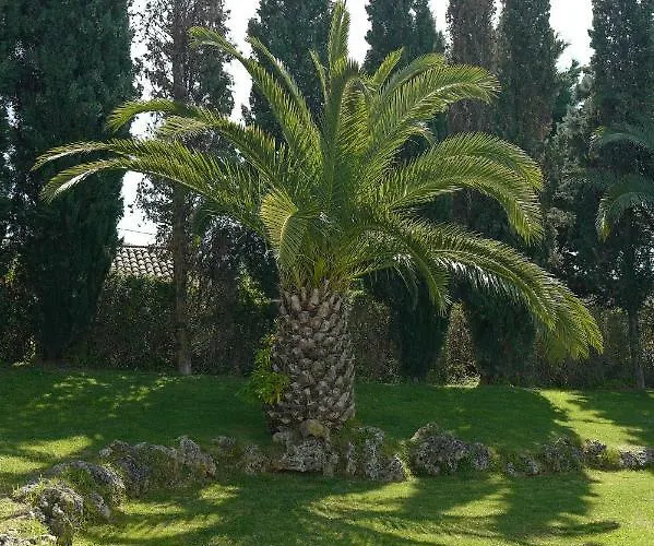 Landsted Arrabida Heritage @portugal Luxury Retreat Azeitão